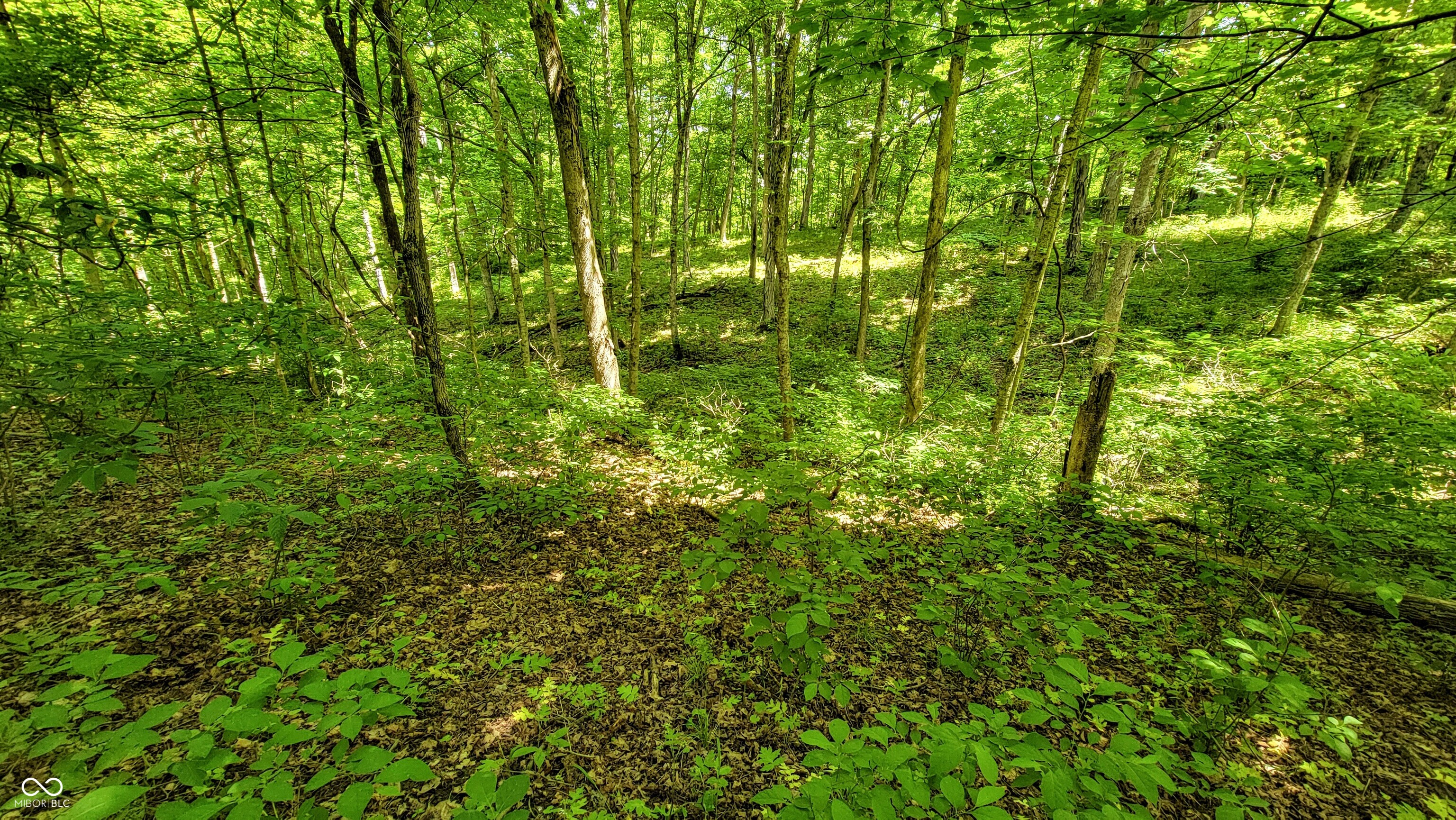 7778 Woods Ridge Road Dillsboro, IN 47018 - Photo 69 of 98