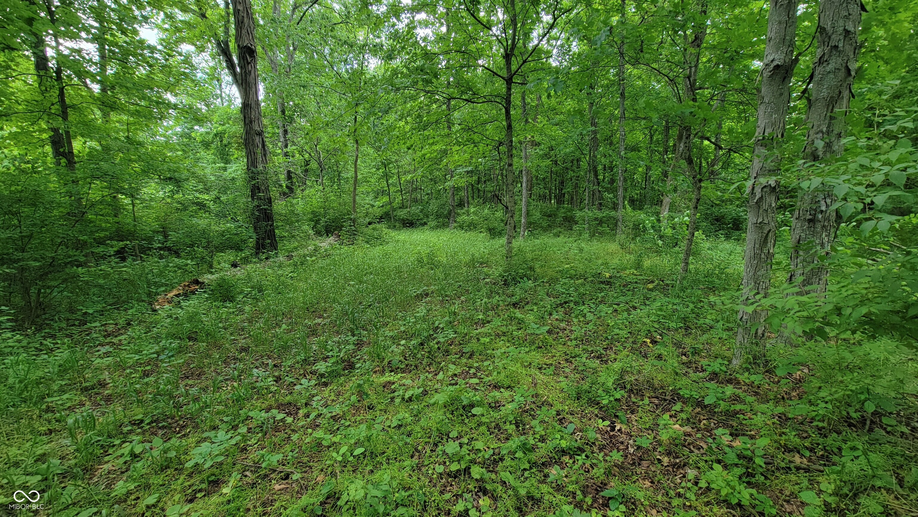 7778 Woods Ridge Road Dillsboro, IN 47018 - Photo 76 of 98