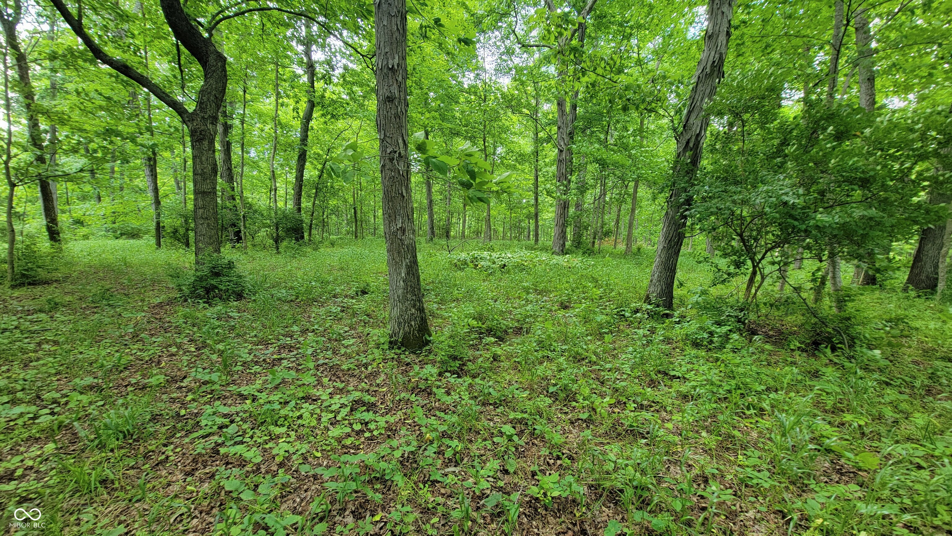 7778 Woods Ridge Road Dillsboro, IN 47018 - Photo 78 of 98