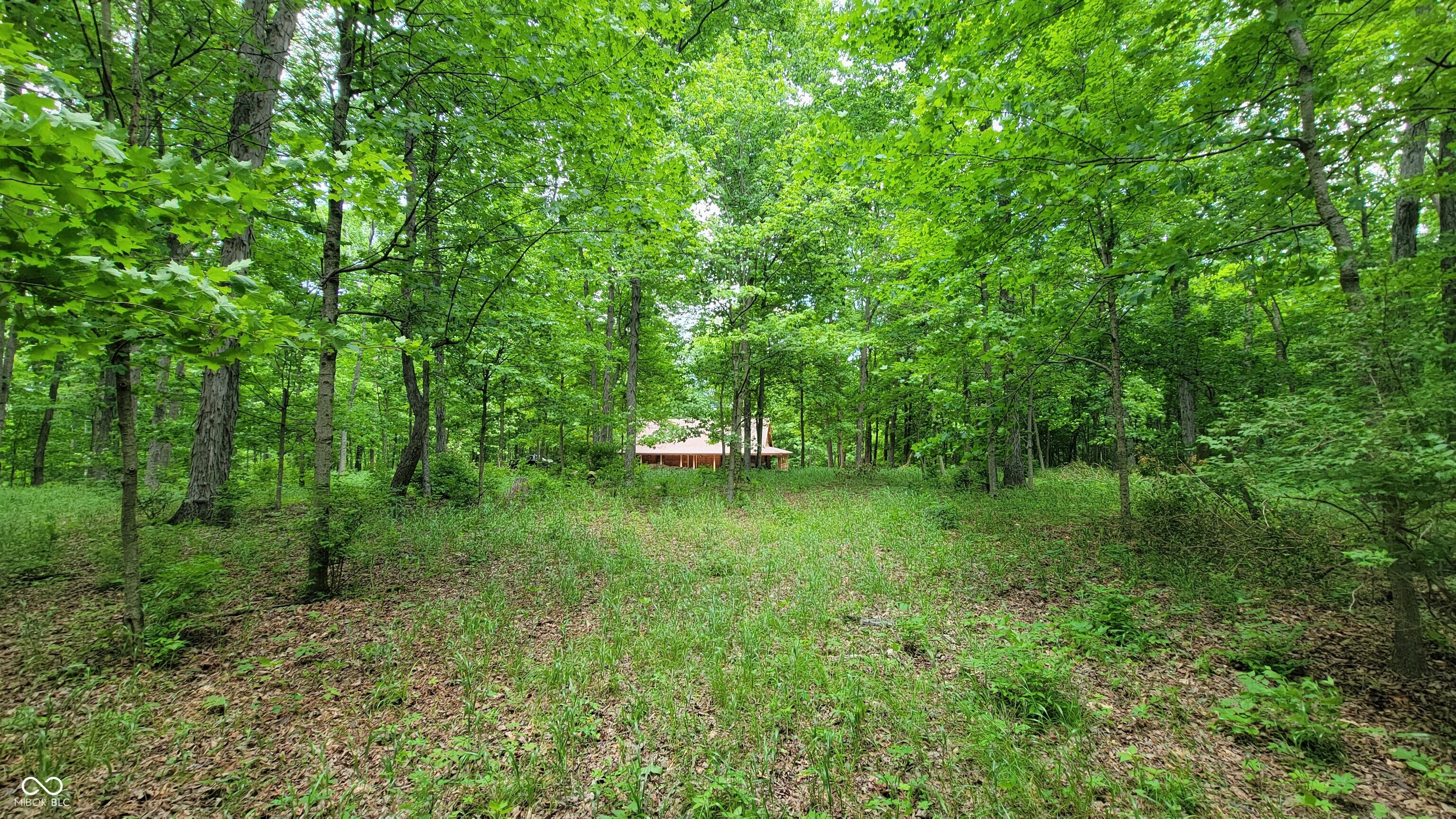 7778 Woods Ridge Road Dillsboro, IN 47018 - Photo 80 of 98