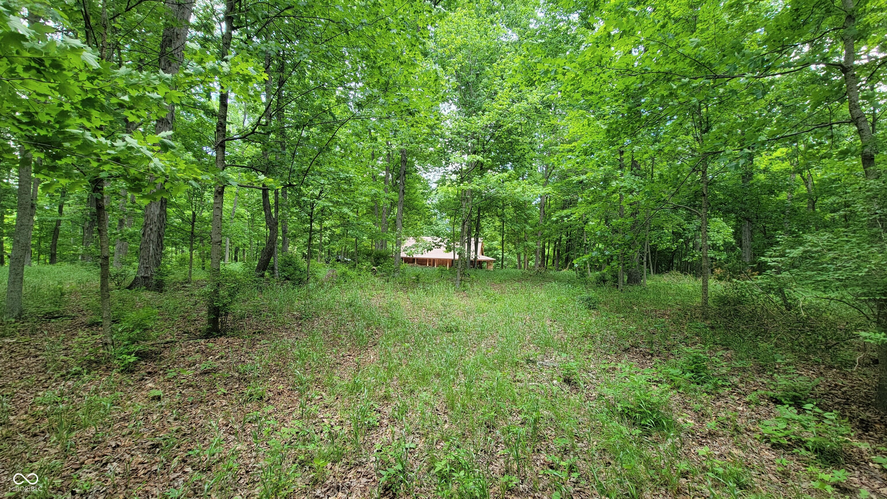 7778 Woods Ridge Road Dillsboro, IN 47018 - Photo 82 of 98