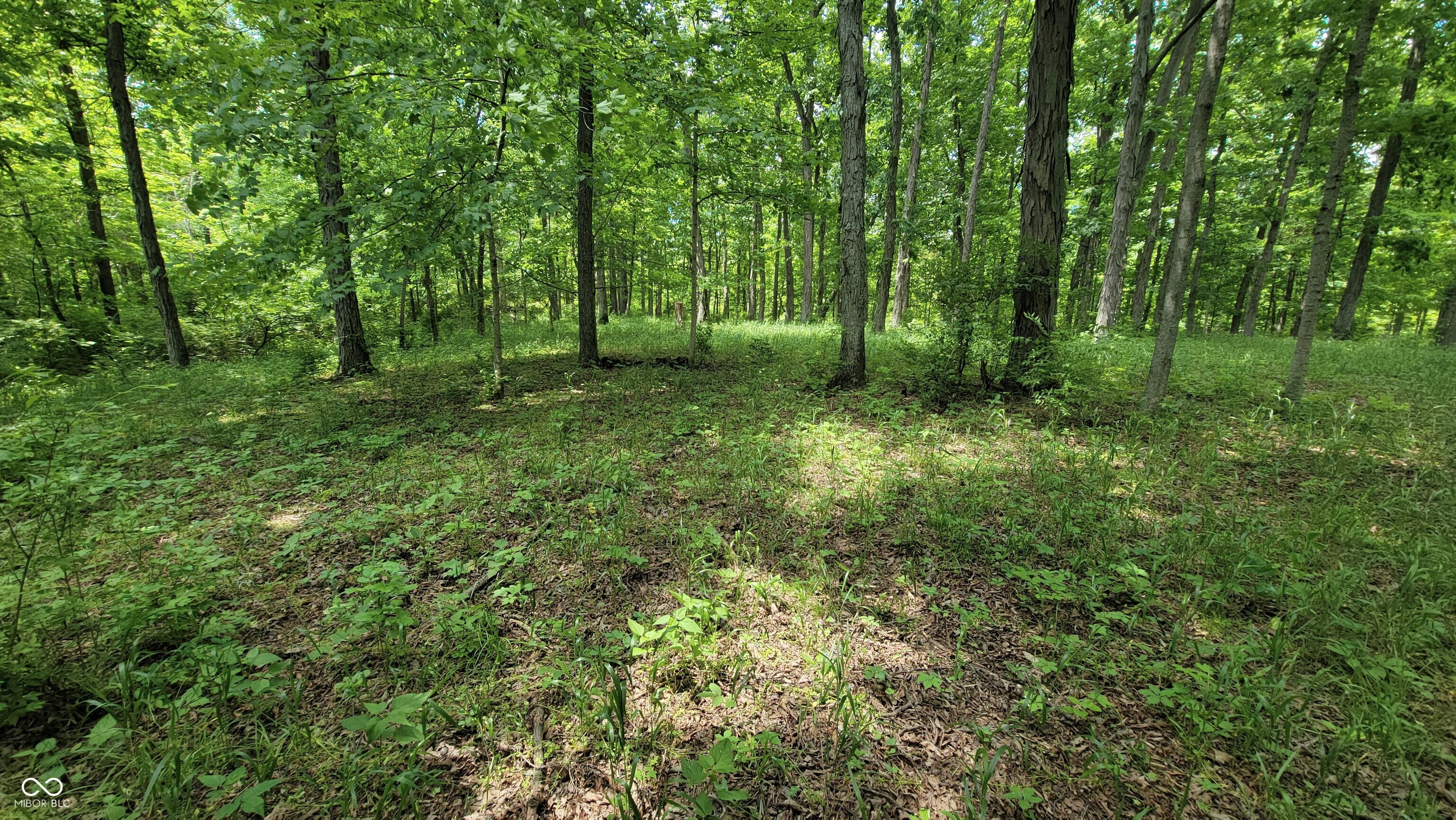 7778 Woods Ridge Road Dillsboro, IN 47018 - Photo 83 of 98