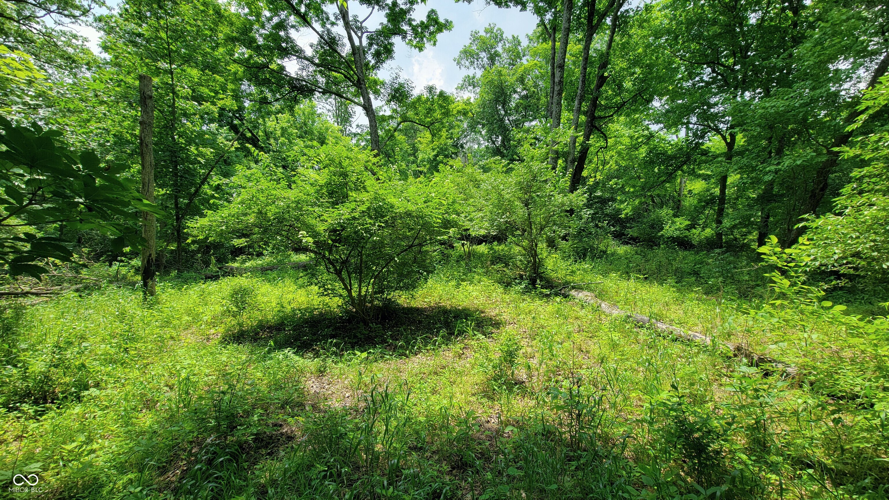 7778 Woods Ridge Road Dillsboro, IN 47018 - Photo 84 of 98