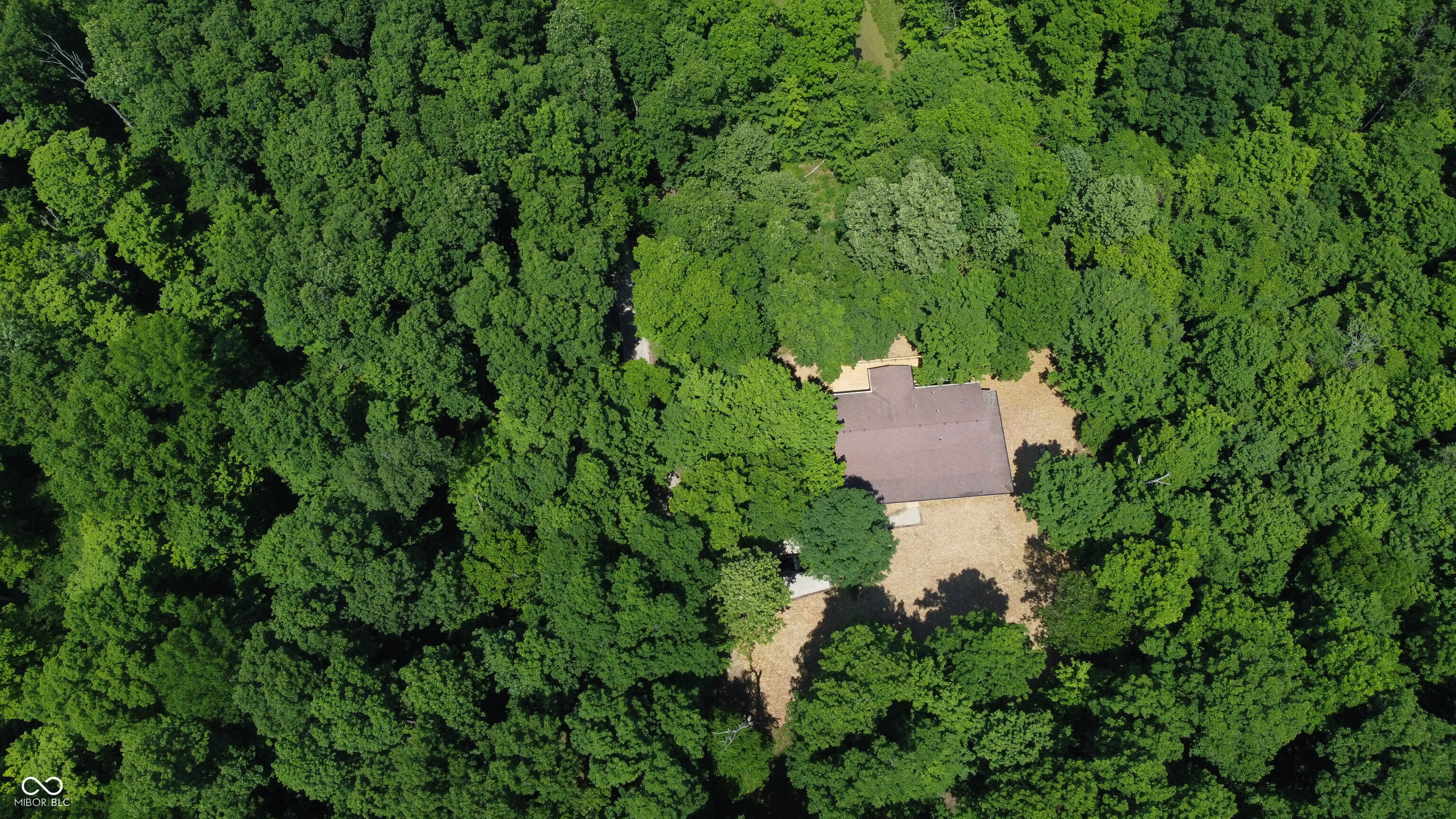 7778 Woods Ridge Road Dillsboro, IN 47018 - Photo 88 of 98