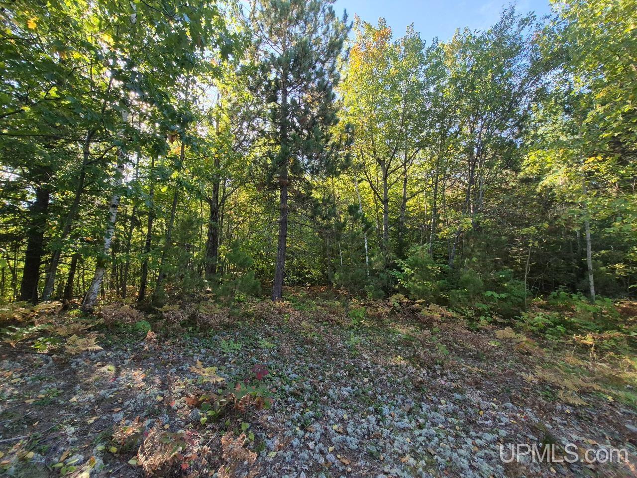Tbd Tbd D Road Big Bay, MI 49808 - Photo 7 of 21