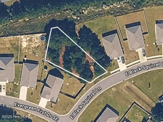 $40,000 | 1504 East Black Squirrel Lane, Bolivia, NC 28422
