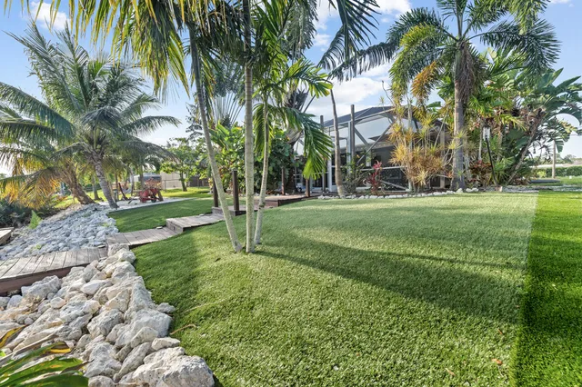 a view of a park with palm trees