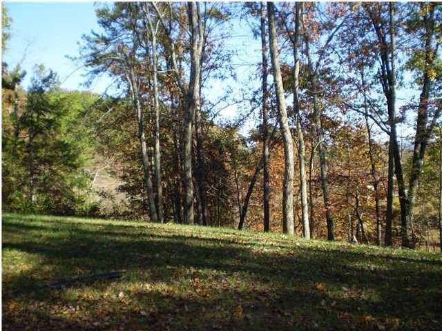 1868 Millard Road Soddy Daisy, TN 37379 - Photo 5 of 6 Additional Photo