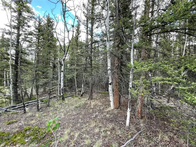 $45,000 | 80 Haida Way, Jefferson, CO 80456