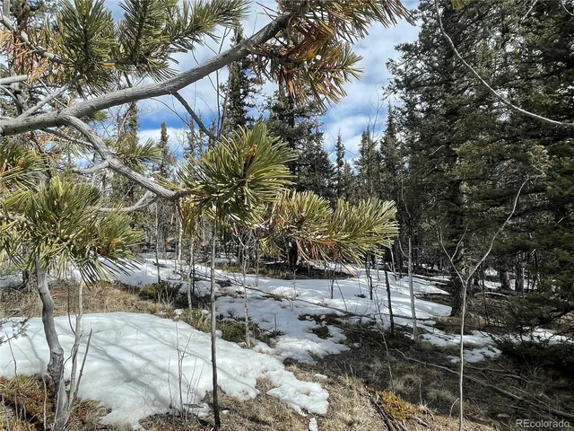 $45,000 | 80 Haida Way, Jefferson, CO 80456