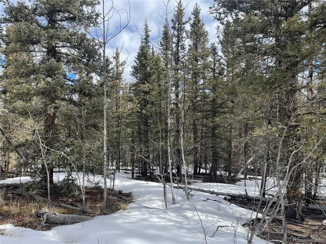 $45,000 | 80 Haida Way, Jefferson, CO 80456