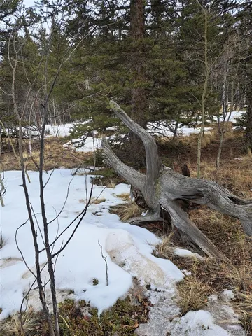 $45,000 | 80 Haida Way, Jefferson, CO 80456