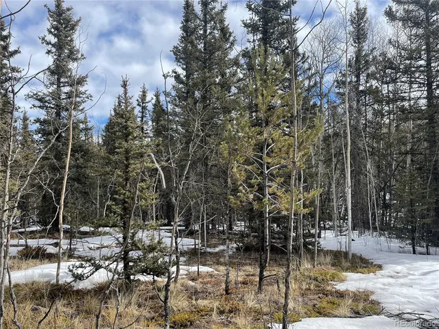 $45,000 | 80 Haida Way, Jefferson, CO 80456