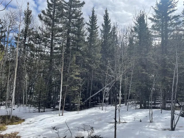 $45,000 | 80 Haida Way, Jefferson, CO 80456