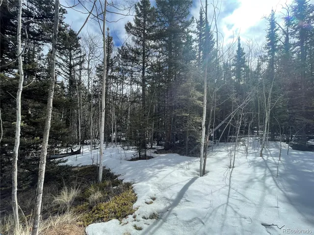 $45,000 | 80 Haida Way, Jefferson, CO 80456