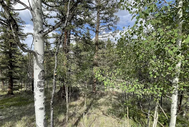 $45,000 | 80 Haida Way, Jefferson, CO 80456