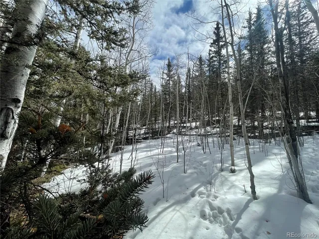 $45,000 | 80 Haida Way, Jefferson, CO 80456