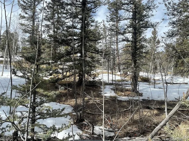 $45,000 | 80 Haida Way, Jefferson, CO 80456