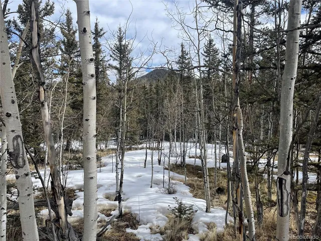 $45,000 | 80 Haida Way, Jefferson, CO 80456