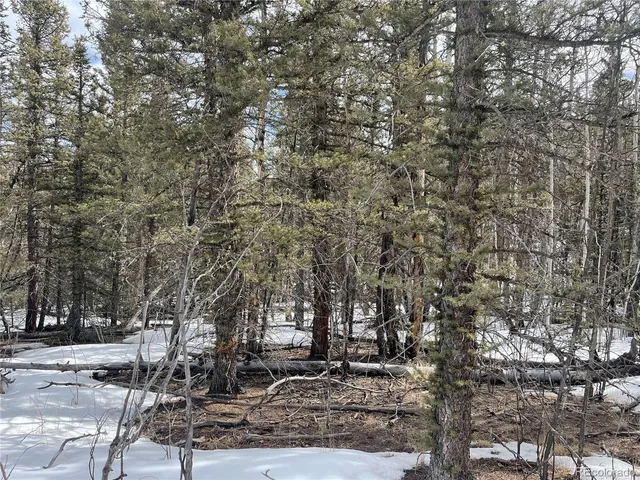 $45,000 | 80 Haida Way, Jefferson, CO 80456
