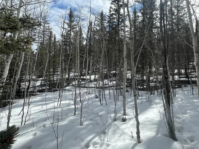 $45,000 | 80 Haida Way, Jefferson, CO 80456