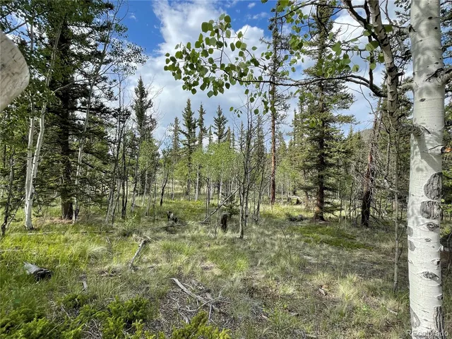 $45,000 | 80 Haida Way, Jefferson, CO 80456