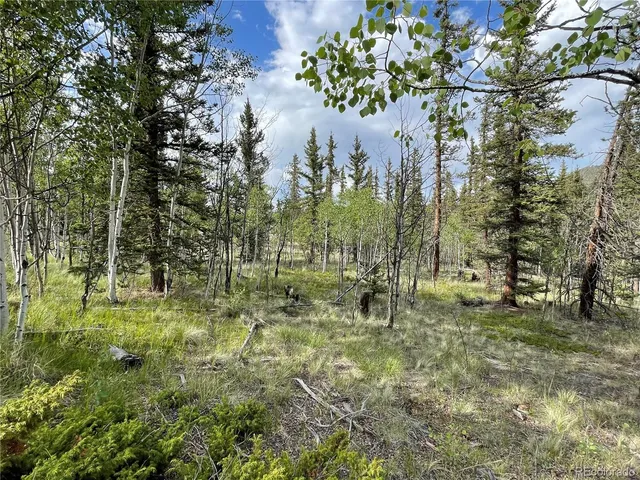 $45,000 | 80 Haida Way, Jefferson, CO 80456