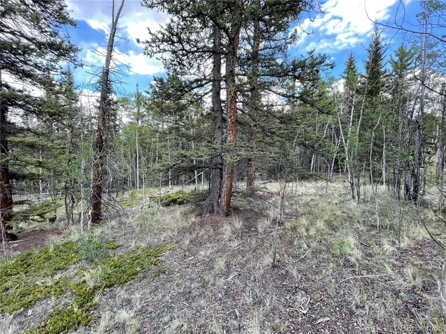 $45,000 | 80 Haida Way, Jefferson, CO 80456