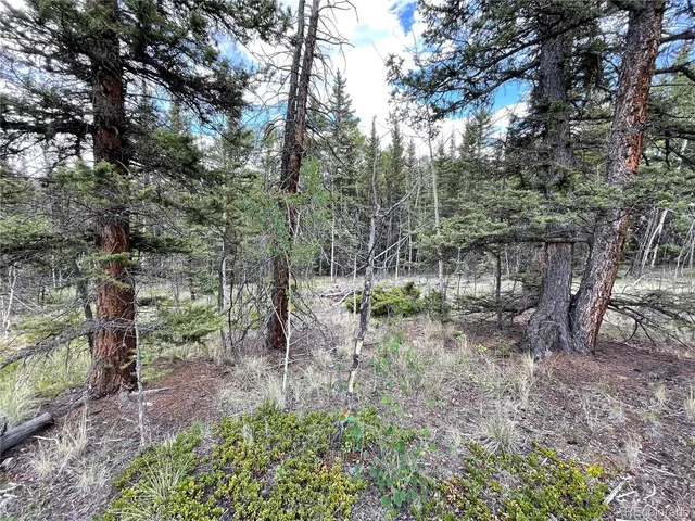 $45,000 | 80 Haida Way, Jefferson, CO 80456