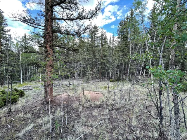 $45,000 | 80 Haida Way, Jefferson, CO 80456