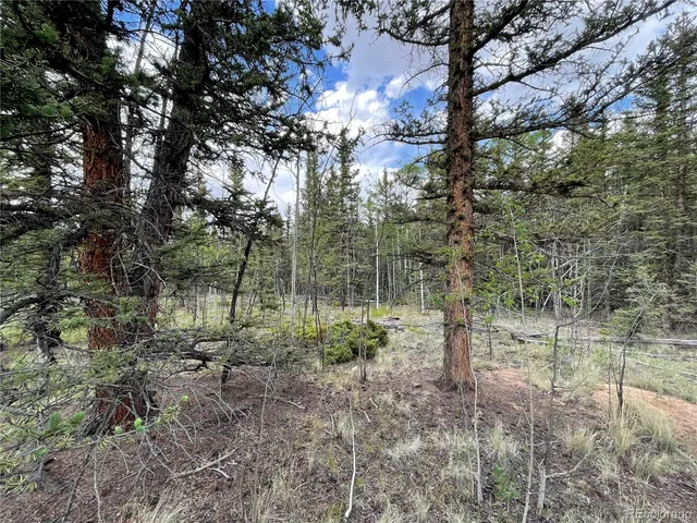 $45,000 | 80 Haida Way, Jefferson, CO 80456