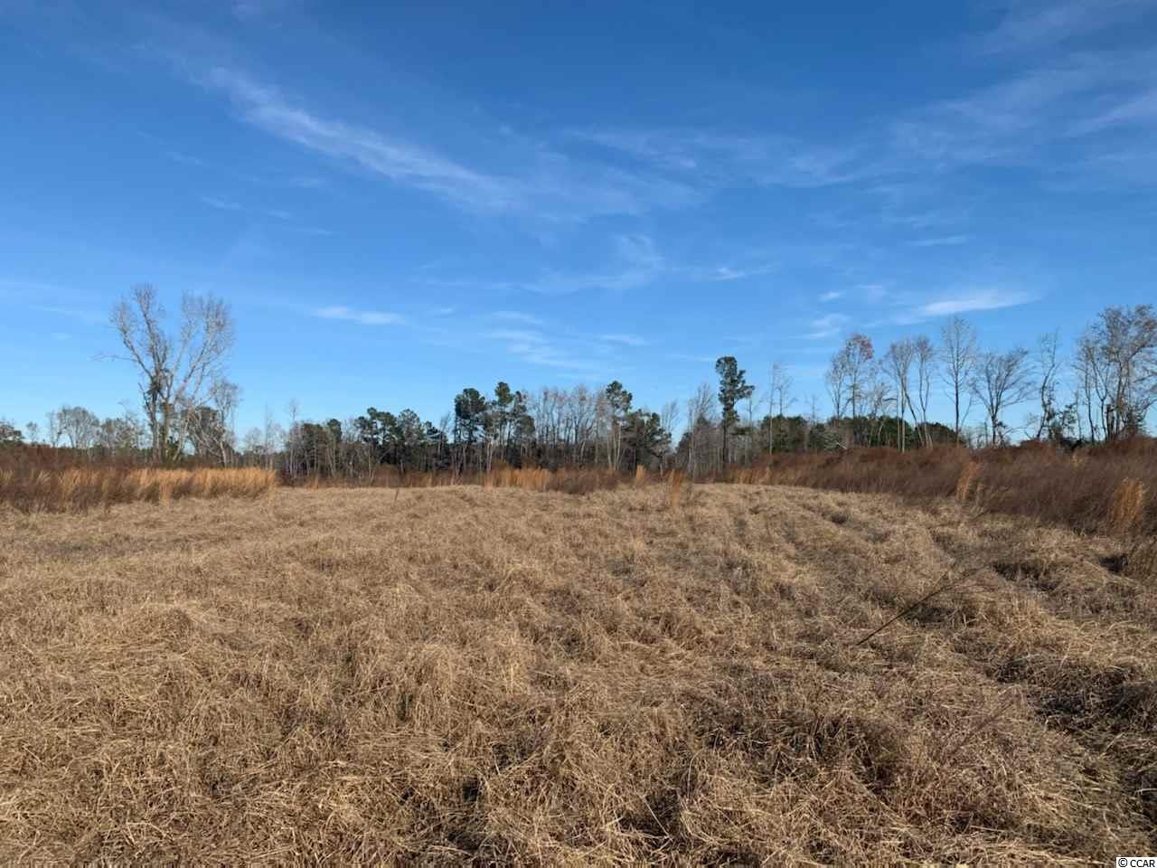 26 Muddy Creek Road Hemingway, SC 29554 - Photo 1 of 2