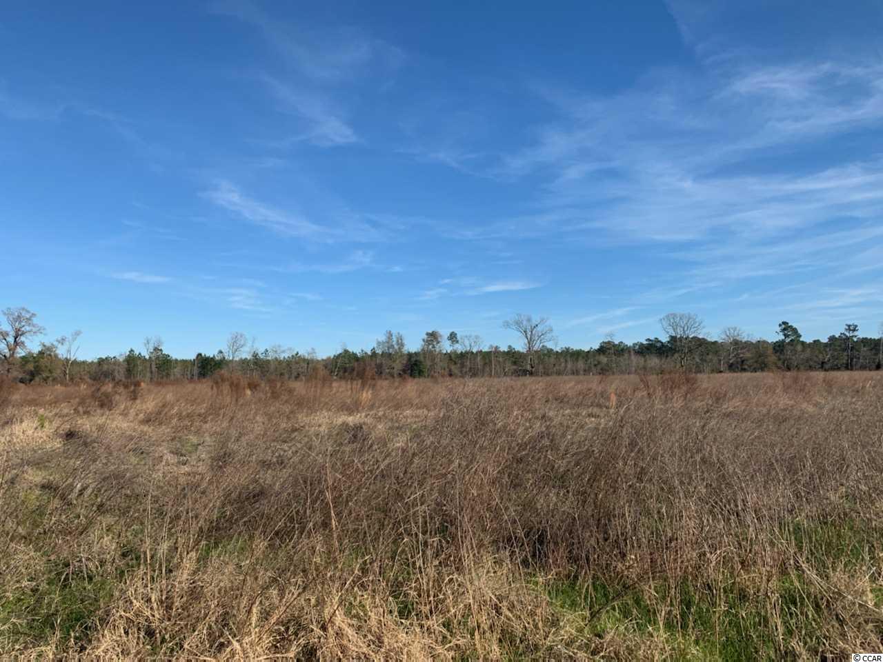 26 Muddy Creek Road Hemingway, SC 29554 - Photo 2 of 2
