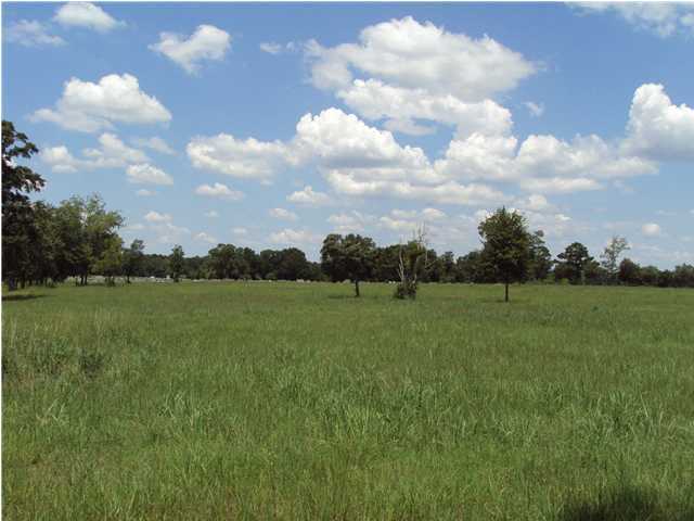 0 Holloway Road Baker, FL 32531 - Photo 1 of 1 a view of field with river in back