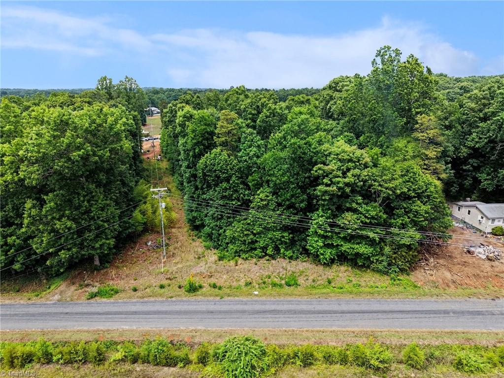 270 Della Wilson Road Lexington, NC 27295 - Photo 9 of 23