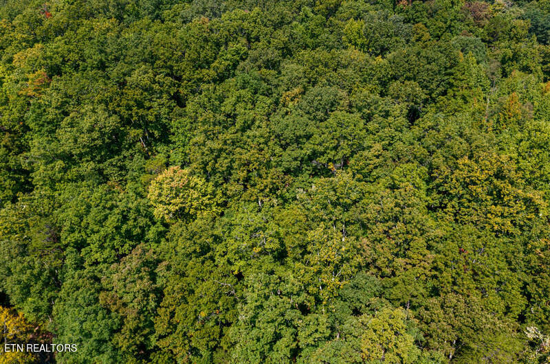 174 Highland Springs Road Rutledge, TN 37861 - Photo 51 of 59 46