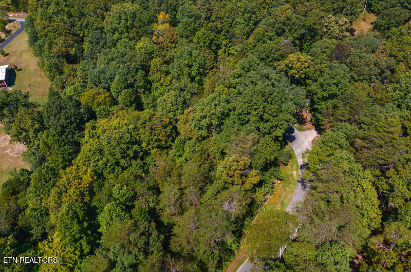 174 Highland Springs Road Rutledge, TN 37861 - Photo 52 of 59 47