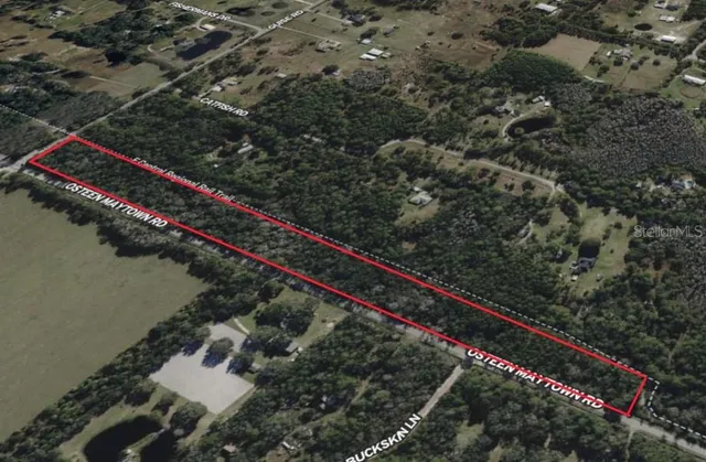 a view of city and a forest