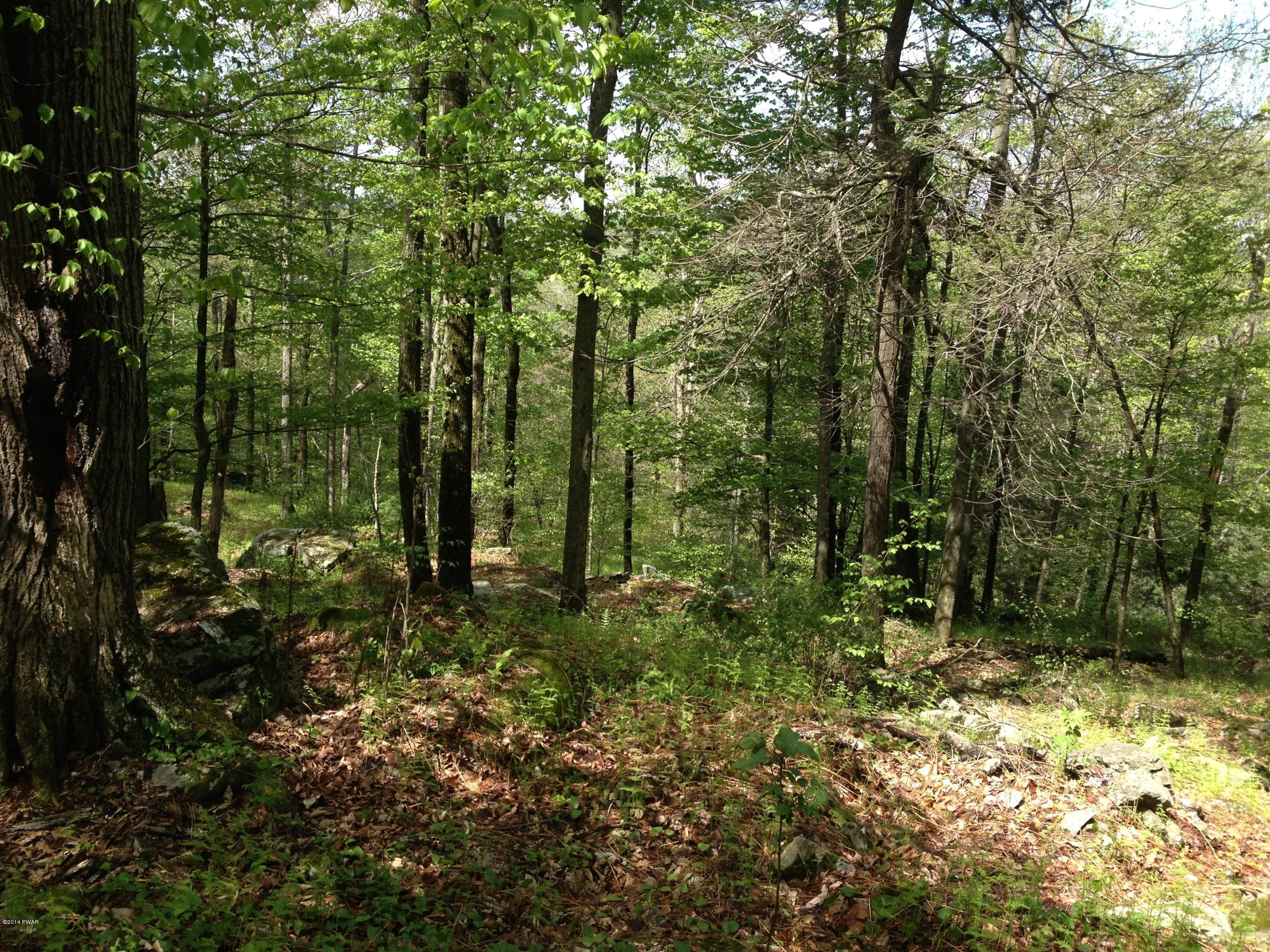 326 Sawmill Road Lake Ariel, PA 18436 - Photo 2 of 10