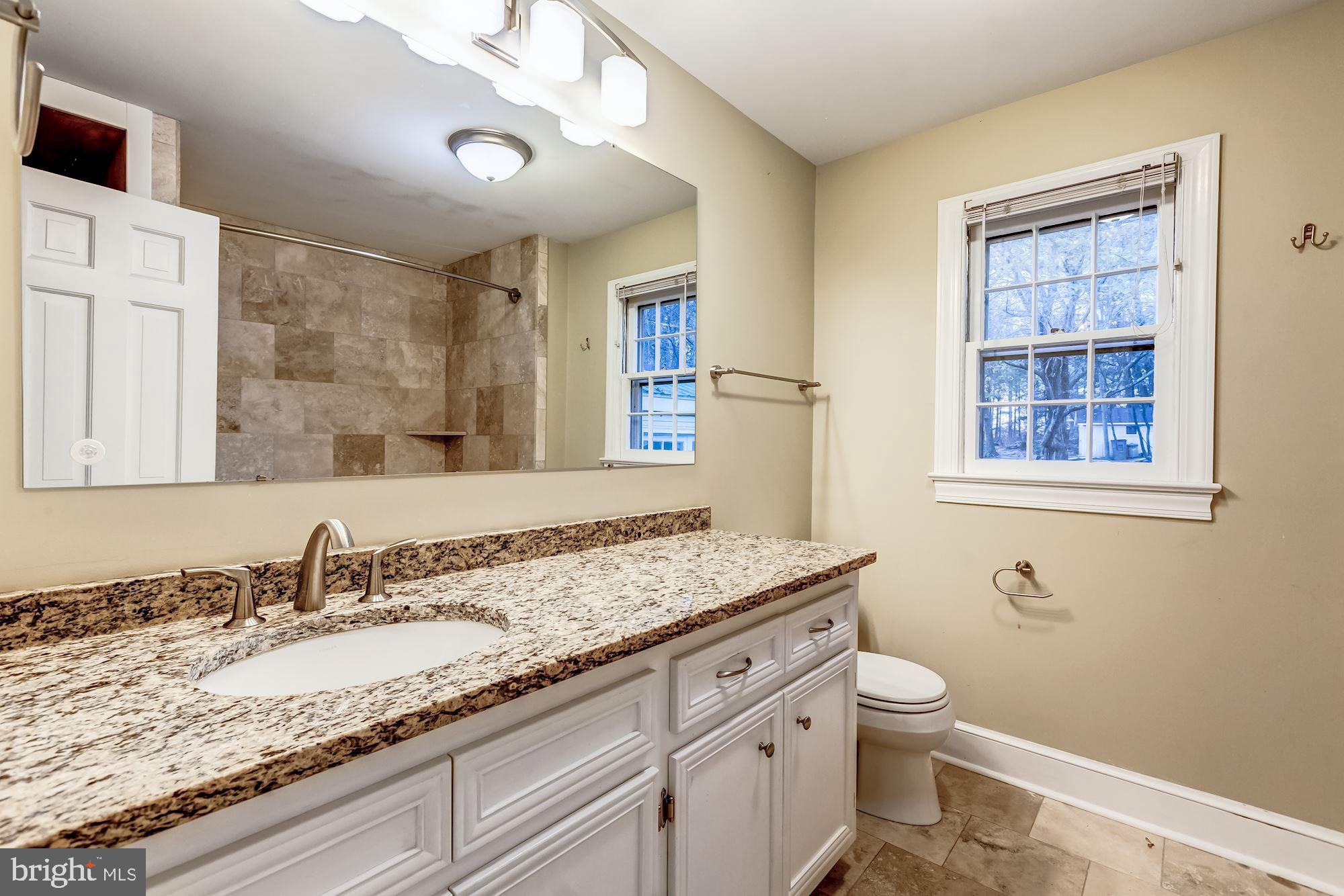 9267 Patrick Street Upperville, VA 20184 - Photo 36 of 43 Main floor main bathroom (tub and shower)