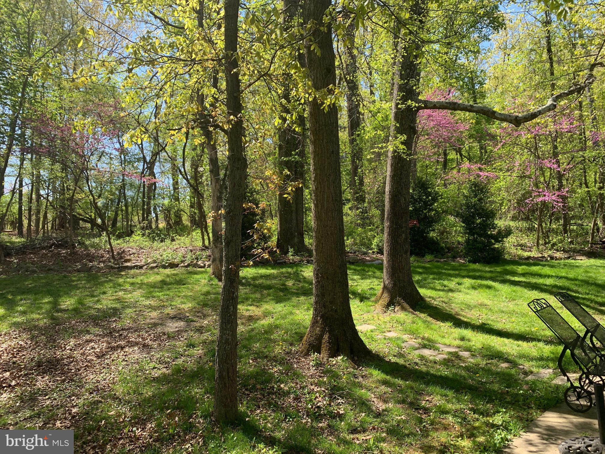 9267 Patrick Street Upperville, VA 20184 - Photo 10 of 43 Park like setting