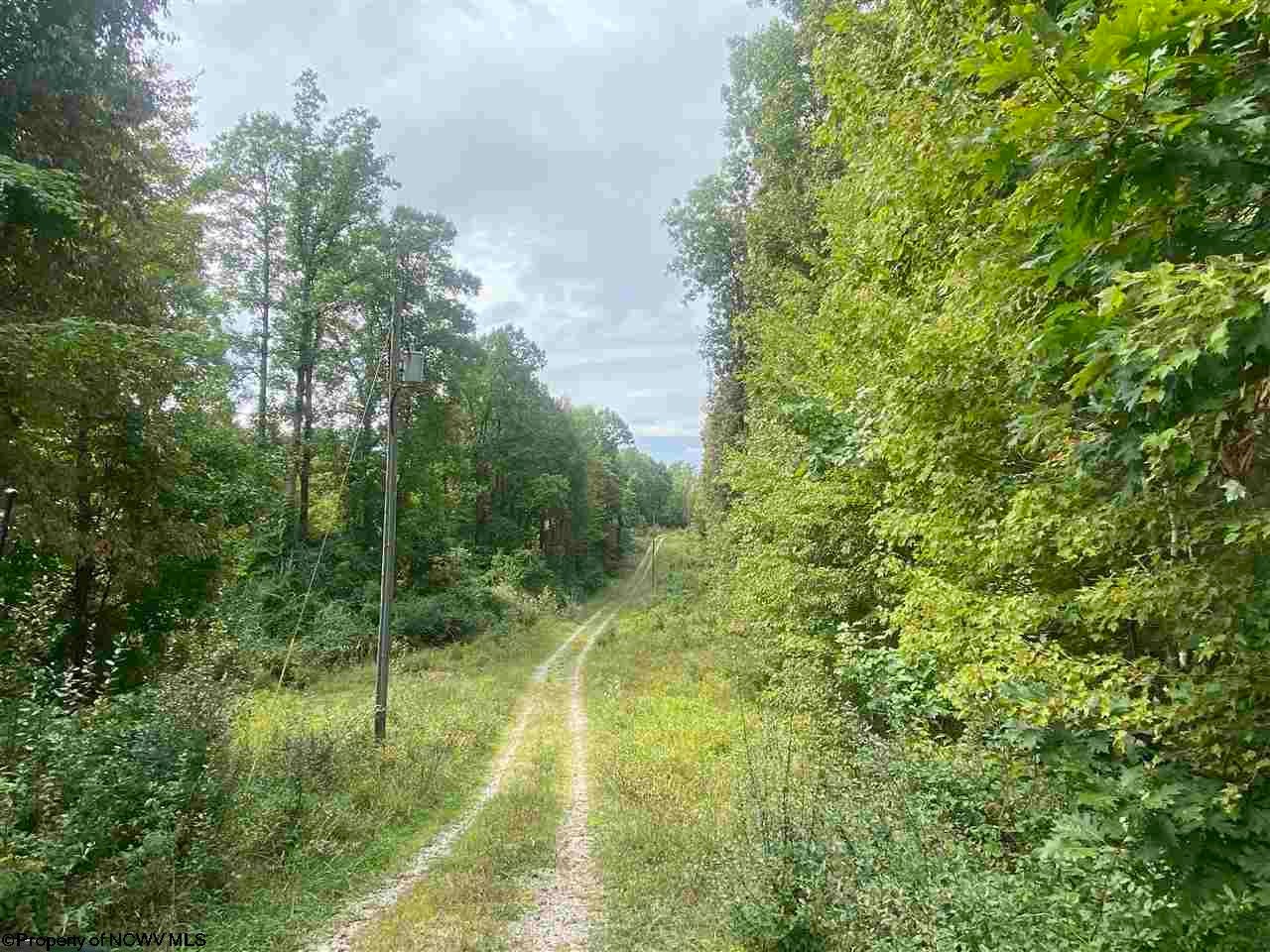 Tbd Helens Run Road Worthington, WV 26591 - Photo 1 of 18 Gallery Image 1