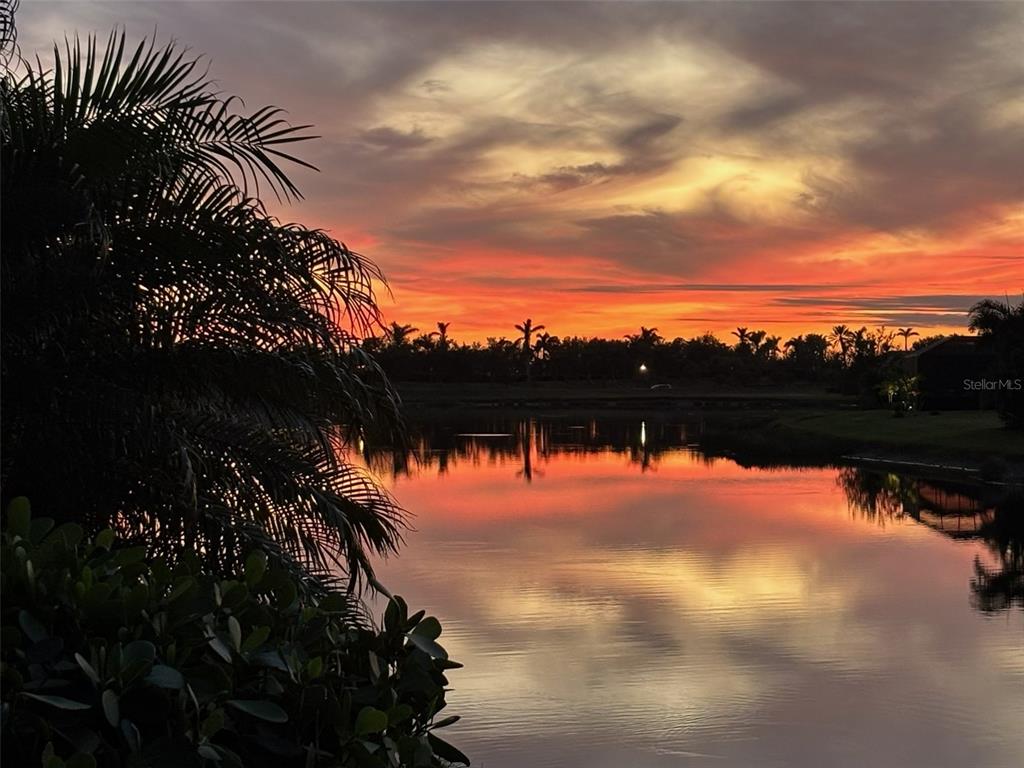 20219 Tesoro Drive Venice, FL 34293 - Photo 57 of 98 a view of lake from next to house