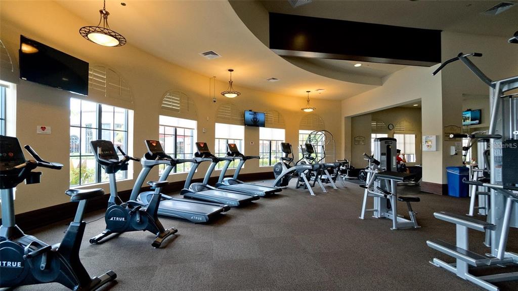 20219 Tesoro Drive Venice, FL 34293 - Photo 78 of 98 a view of a room with gym equipment