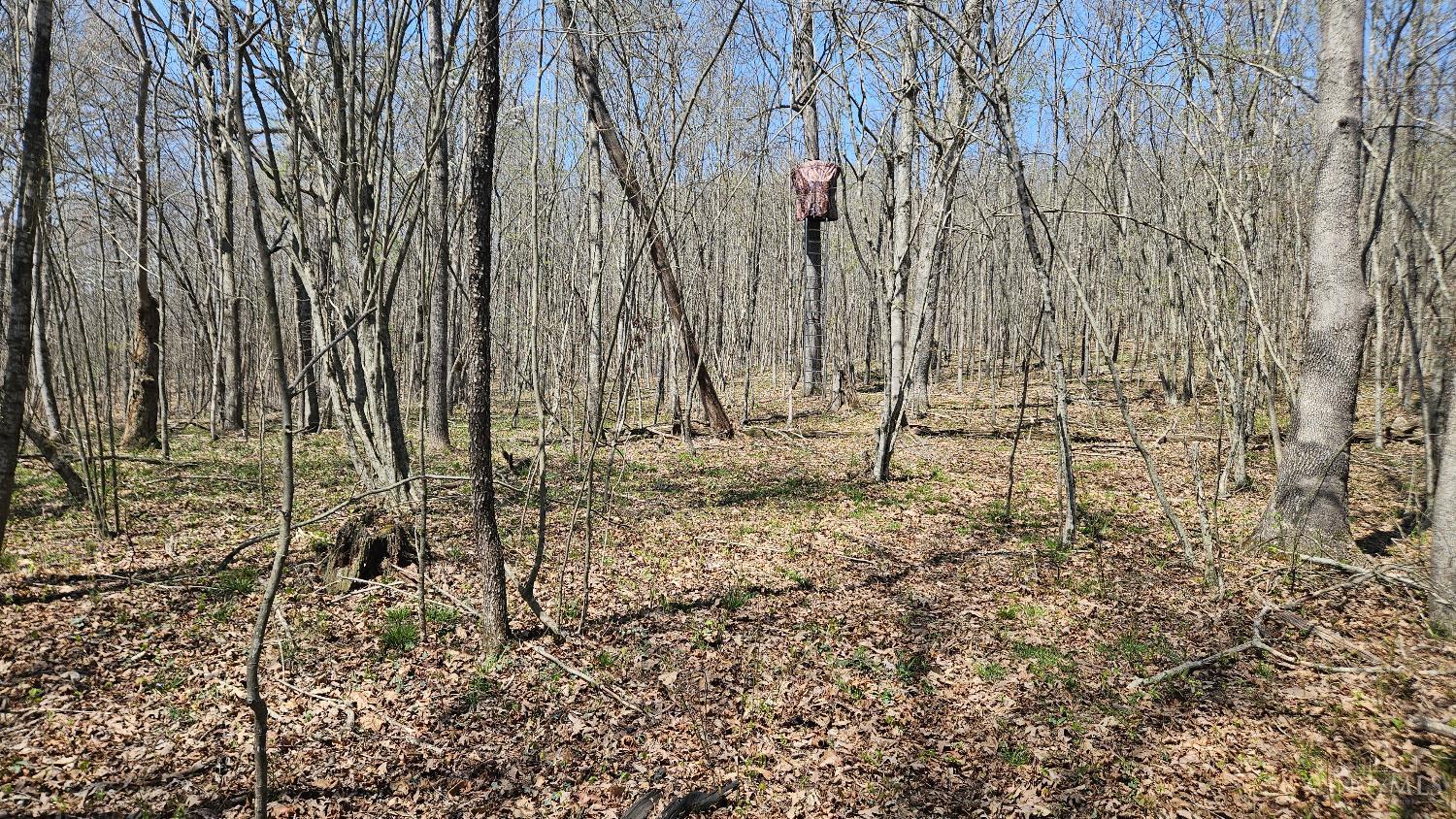 0 Spruce Hollow Road South Webster, OH 45682 - Photo 22 of 54