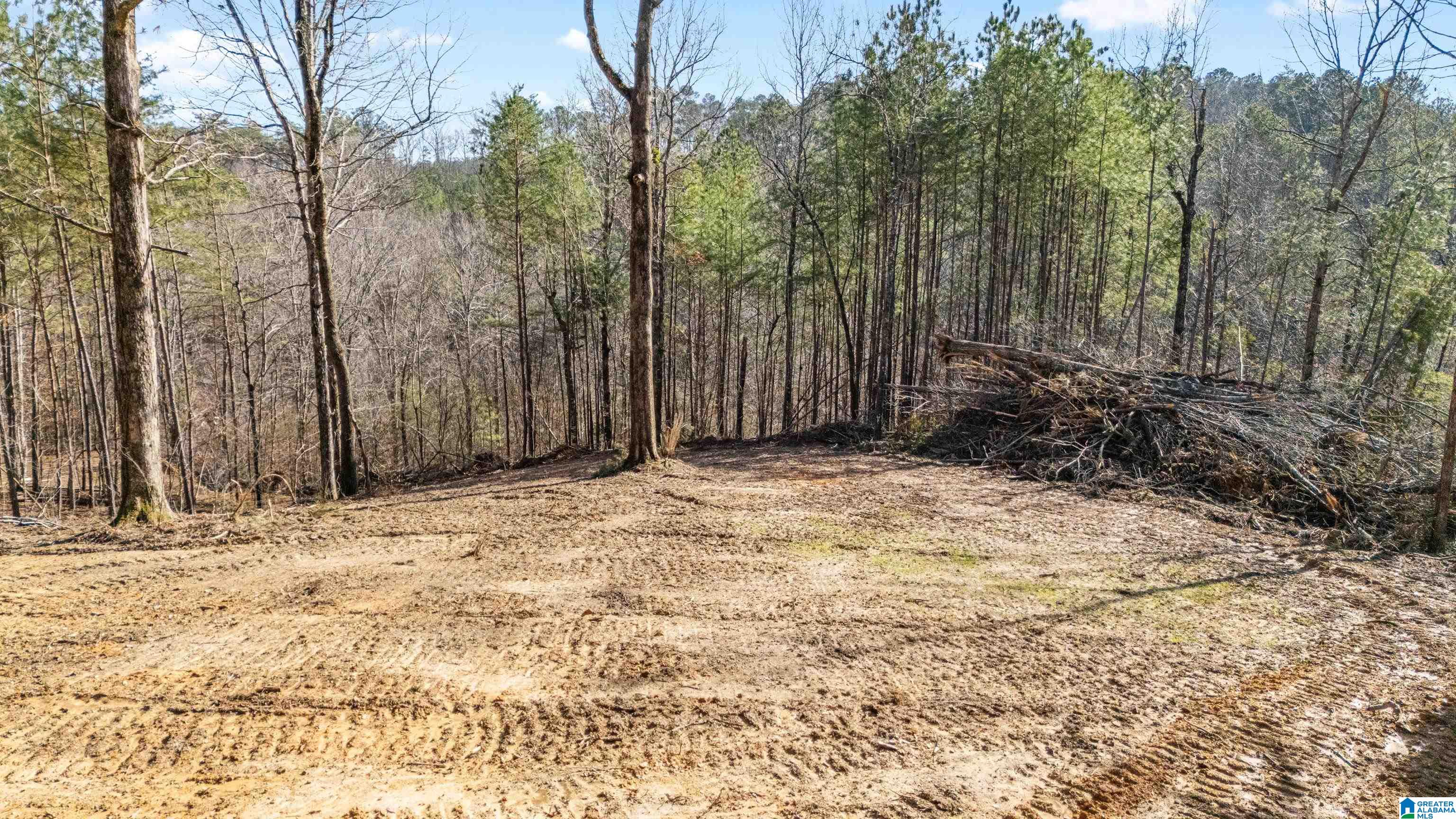 7019 Groundhog Road, Unit 1 Morris, AL 35116 - Photo 13 of 22