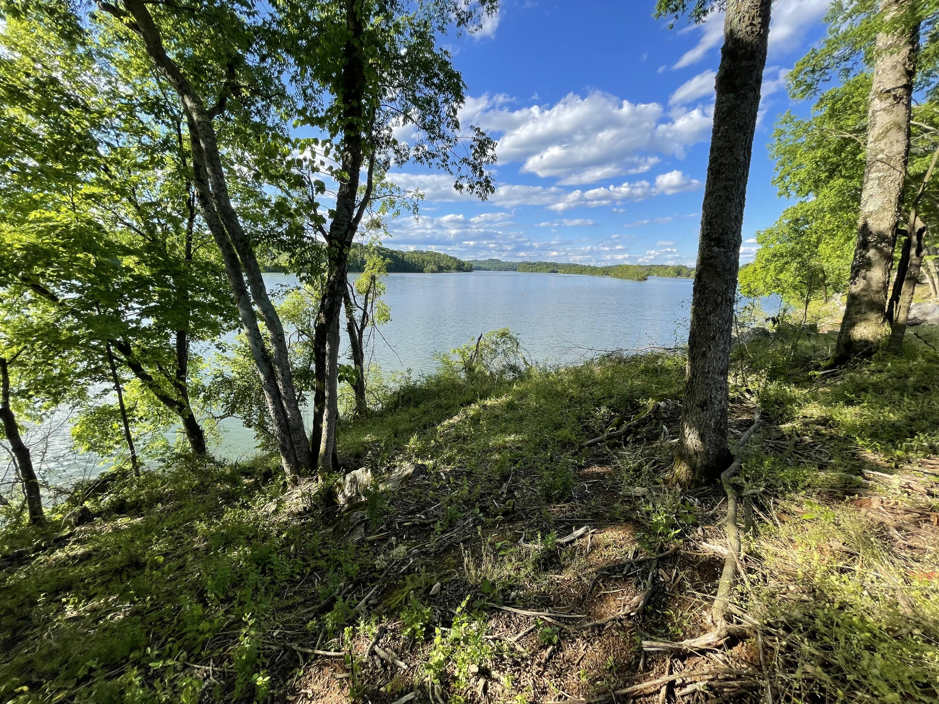 889 Matlock Bend Road Loudon, TN 37774 - Photo 3 of 13 Water Front