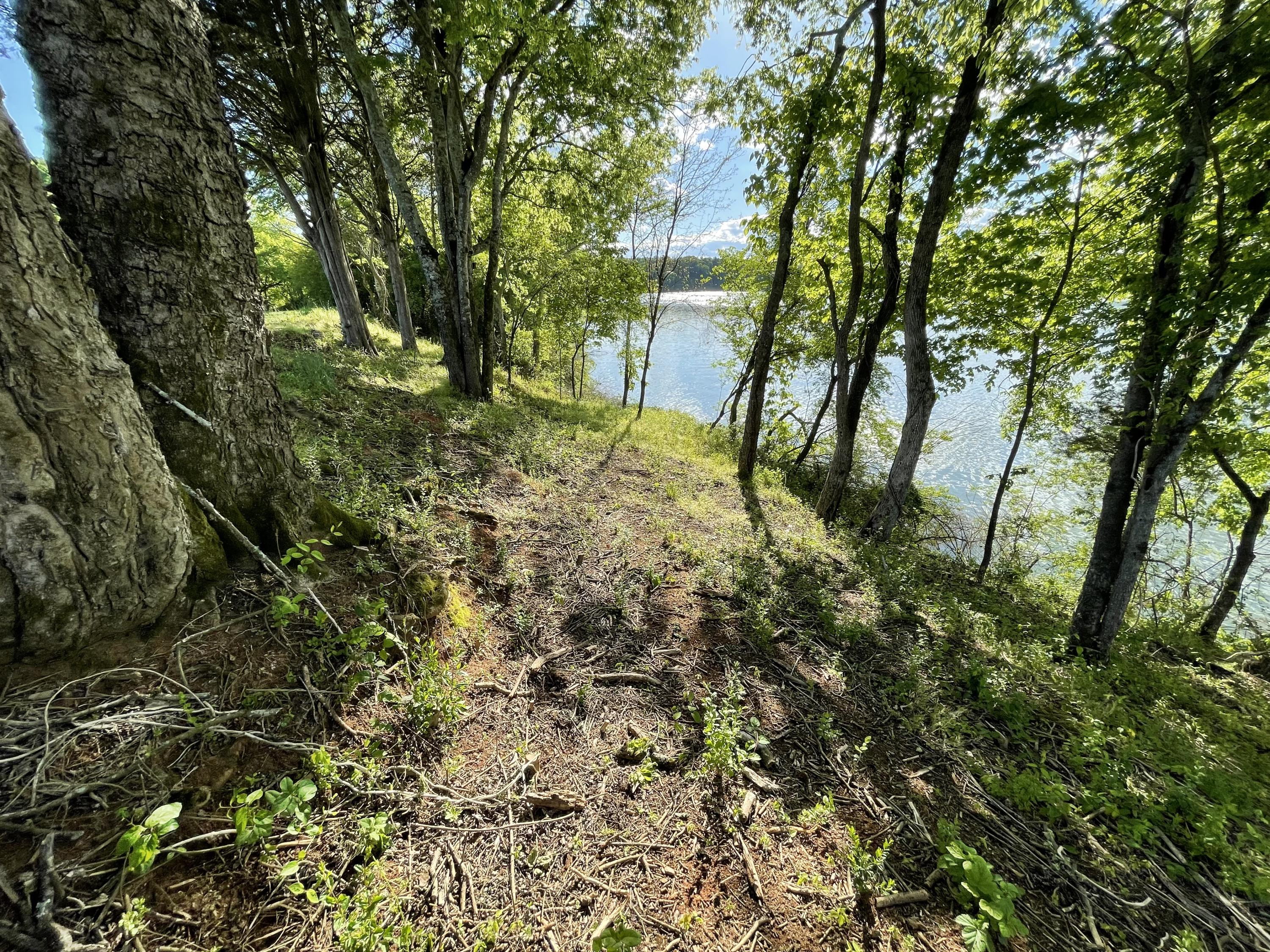 889 Matlock Bend Road Loudon, TN 37774 - Photo 6 of 13 At the Water
