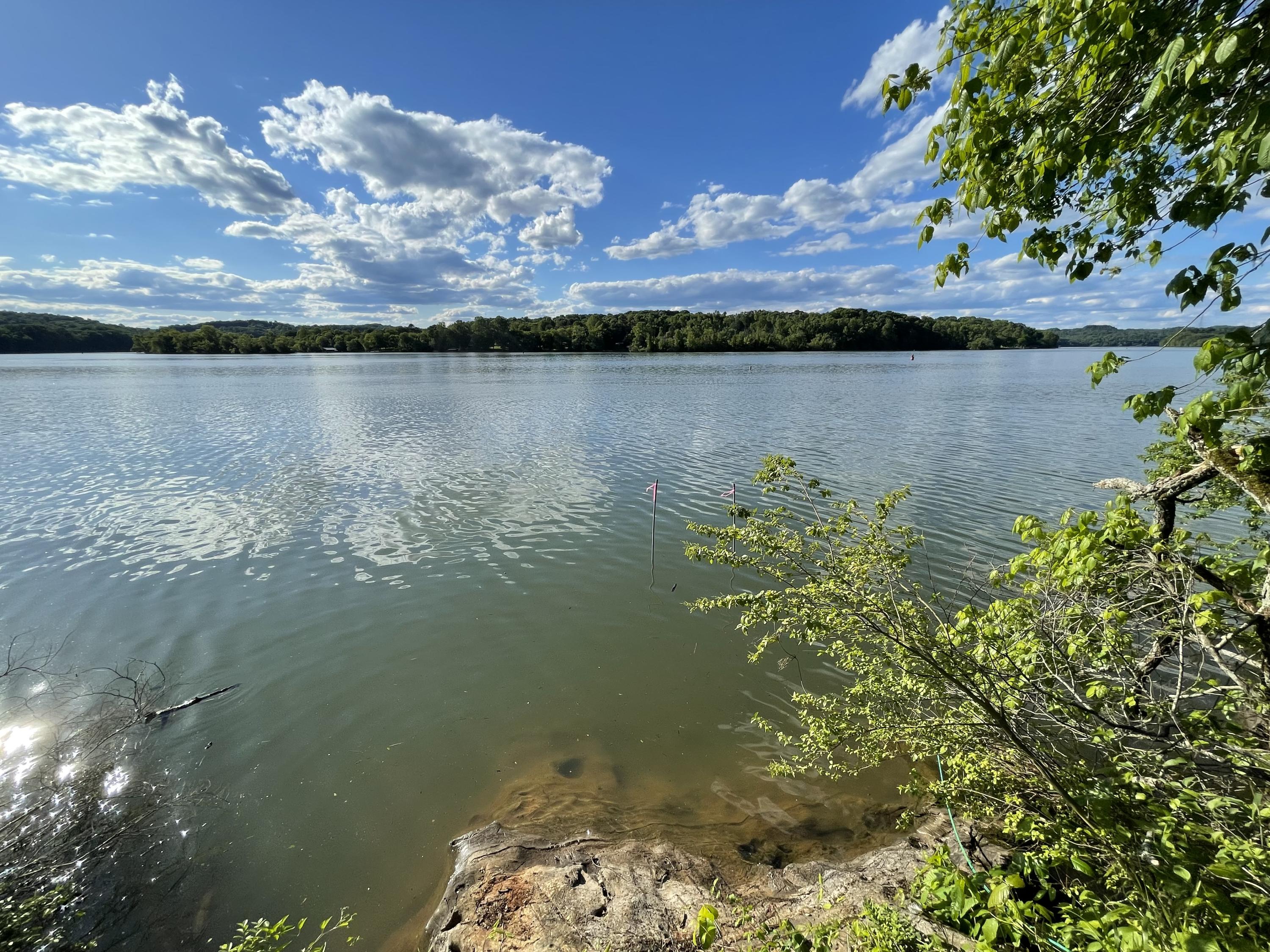 889 Matlock Bend Road Loudon, TN 37774 - Photo 7 of 13 Watts Bar