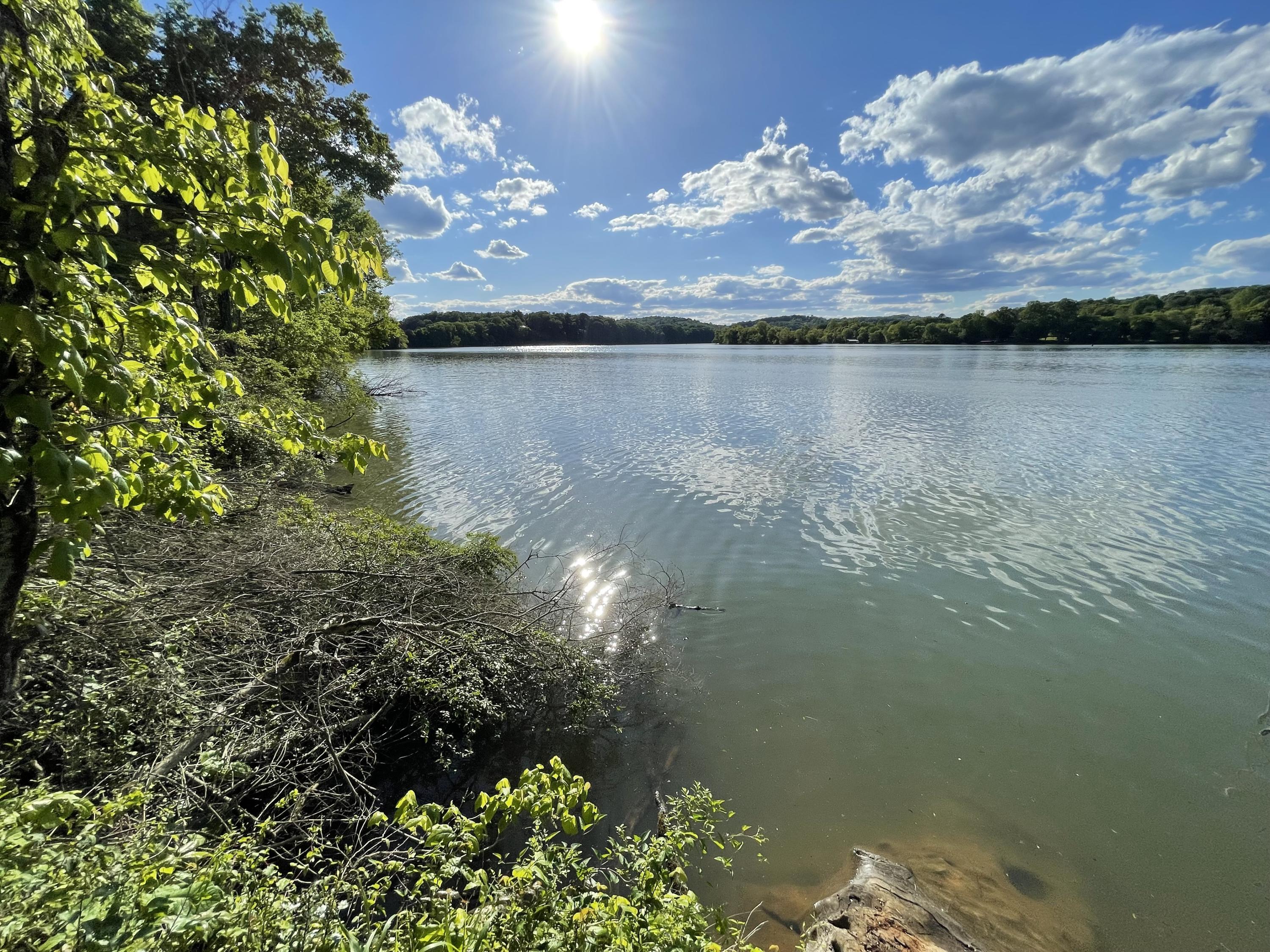 889 Matlock Bend Road Loudon, TN 37774 - Photo 8 of 13 Watts Bar